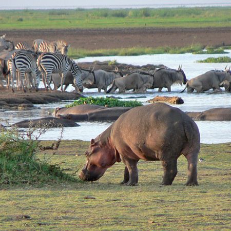 lake-manyara-4 lake-manyara-4