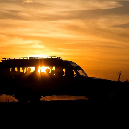 sunrise-game-drive Sunrise game Drive At Serengeti National Park